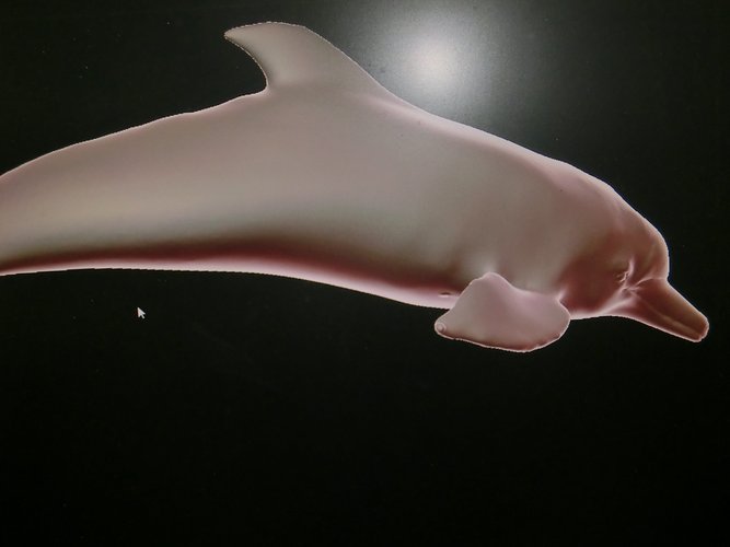 delfin rosado 3D Print 60310