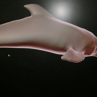 Small delfin rosado 3D Printing 60310