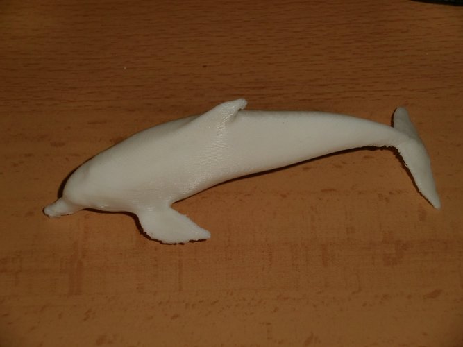 delfin rosado 3D Print 60312
