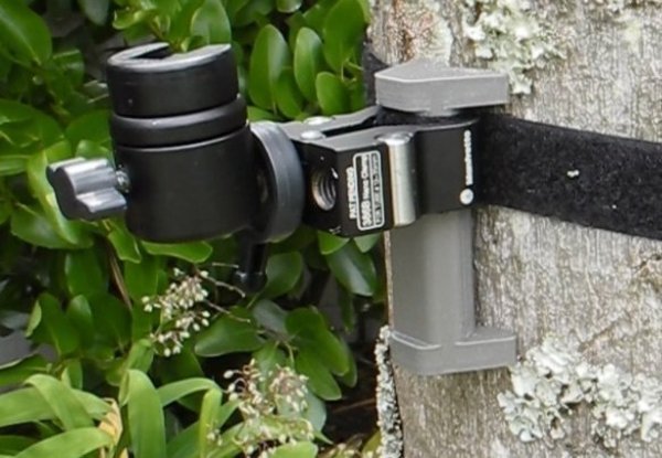Nano Clamp Companion