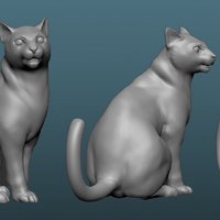 Cat Sitting - Thumbnail 2