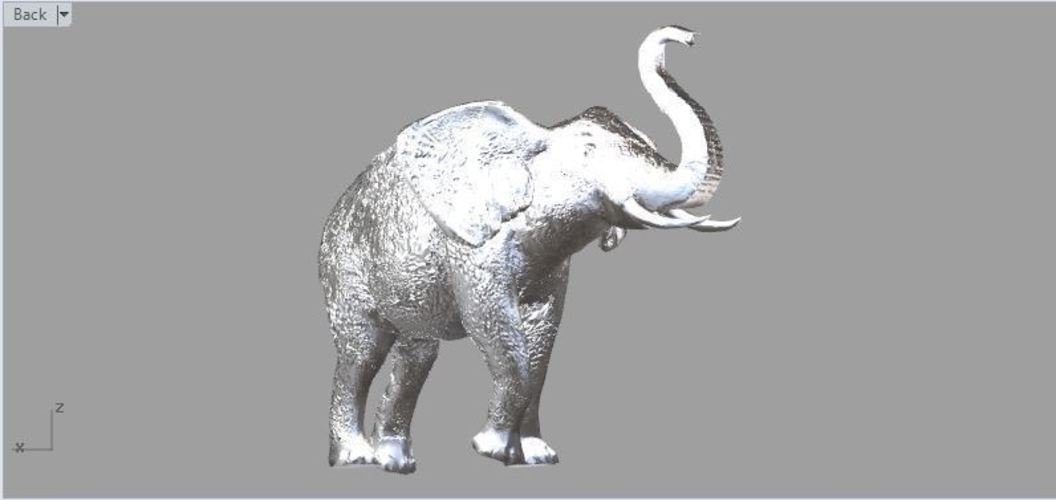 Elephant  3D Print 60546