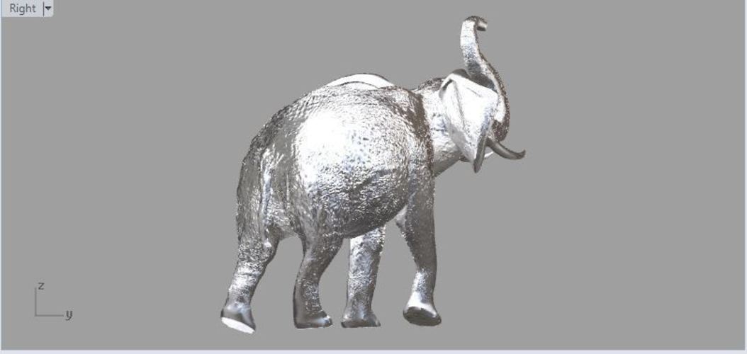 Elephant  3D Print 60551