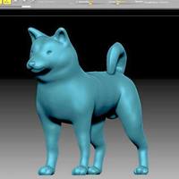 My little shiba - Thumbnail 4