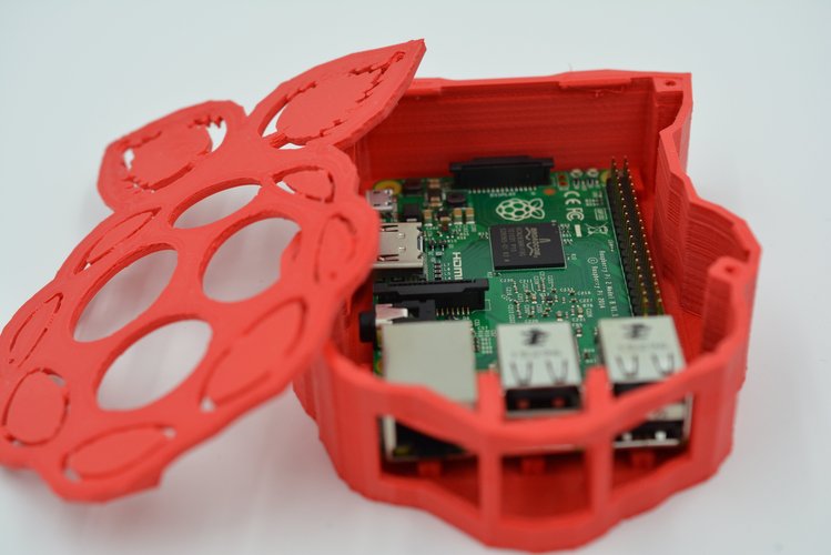 frambuesa pi 3d