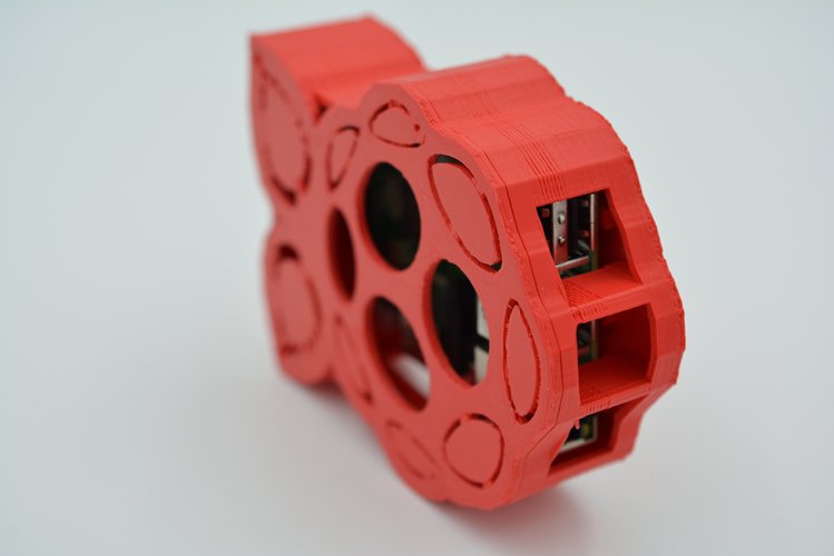 Raspberry-shaped Raspberry Pi Case 3D Print 61069