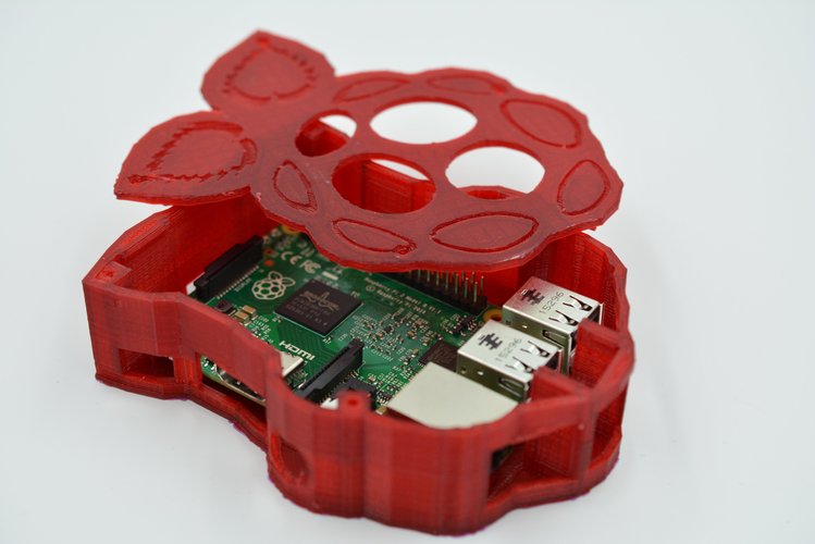 Raspberry-shaped Raspberry Pi Case 3D Print 61070