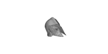 Image 61635