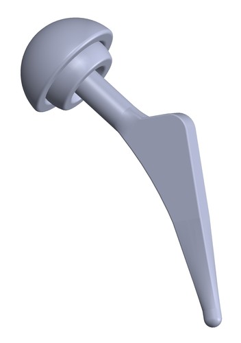 NUS Design Project (Hip Implant) 3D Print 61779