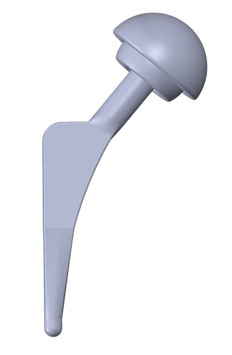 NUS Design Project (Hip Implant) 3D Print 61780