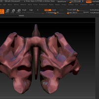 Small Human Ethmoid Bone  3D Printing 61922