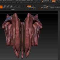 Human Ethmoid Bone  - Thumbnail 5