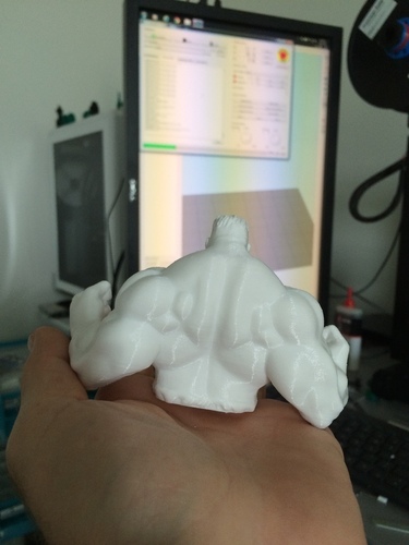 wanhao duplicator i3 Big boy pla cooler 3D Print 62101