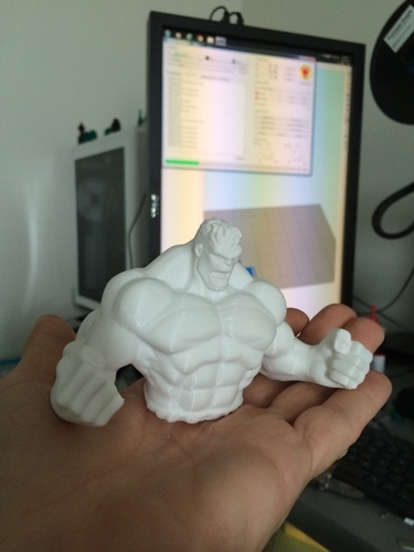 wanhao duplicator i3 Big boy pla cooler 3D Print 62102