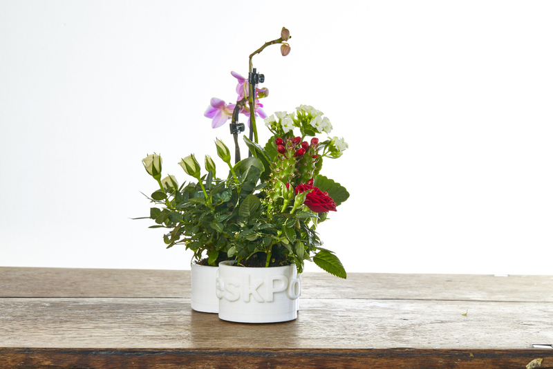 DeskPot