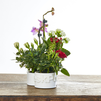 DeskPot - Thumbnail 1