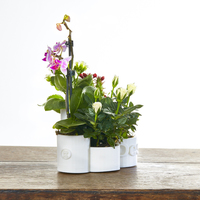 DeskPot - Thumbnail 2