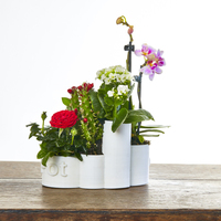 DeskPot - Thumbnail 4