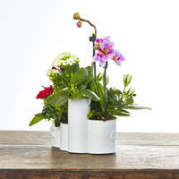 DeskPot - Thumbnail 5