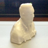 Small 3D scan of me 3D Printing 62585