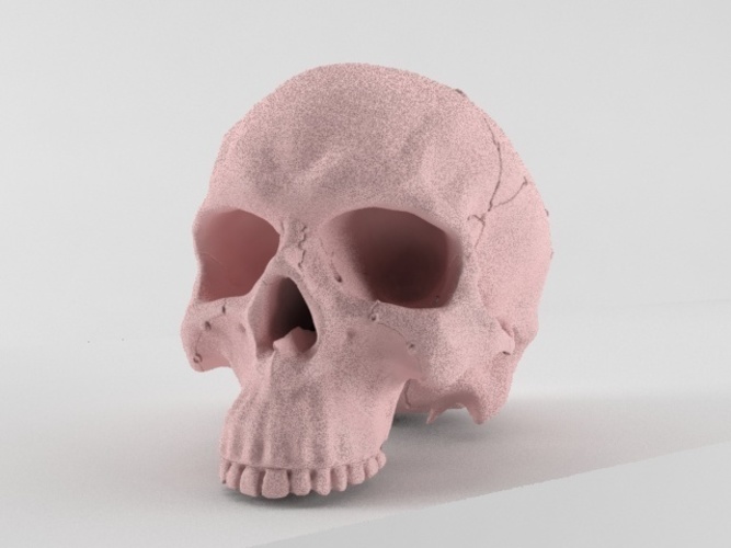 Realistic anatomic art Skull 3d printable - high quality details 3D Print 62631