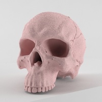Realistic anatomic art Skull 3d printable - high quality details - Thumbnail 1