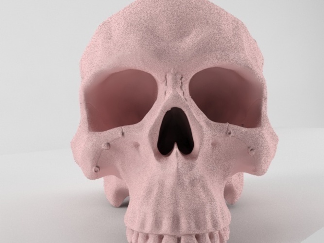 Realistic anatomic art Skull 3d printable - high quality details 3D Print 62632