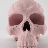Realistic anatomic art Skull 3d printable - high quality details - Thumbnail 2