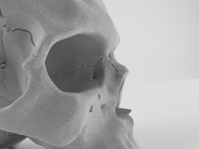 Realistic anatomic art Skull 3d printable - high quality details 3D Print 62633