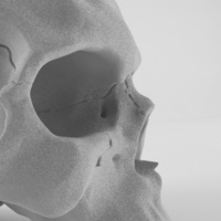 Realistic anatomic art Skull 3d printable - high quality details - Thumbnail 3