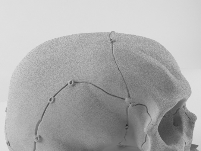 Realistic anatomic art Skull 3d printable - high quality details 3D Print 62634