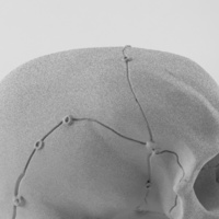 Realistic anatomic art Skull 3d printable - high quality details - Thumbnail 4
