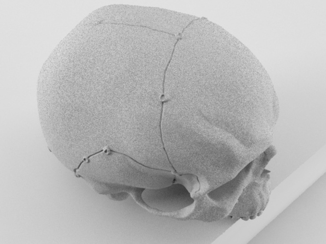 Realistic anatomic art Skull 3d printable - high quality details 3D Print 62635