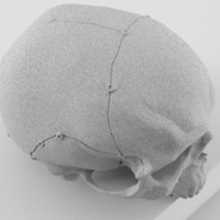 Realistic anatomic art Skull 3d printable - high quality details - Thumbnail 5