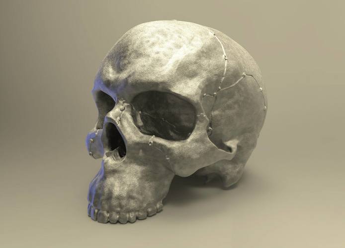 Realistic anatomic art Skull 3d printable - high quality details 3D Print 62637