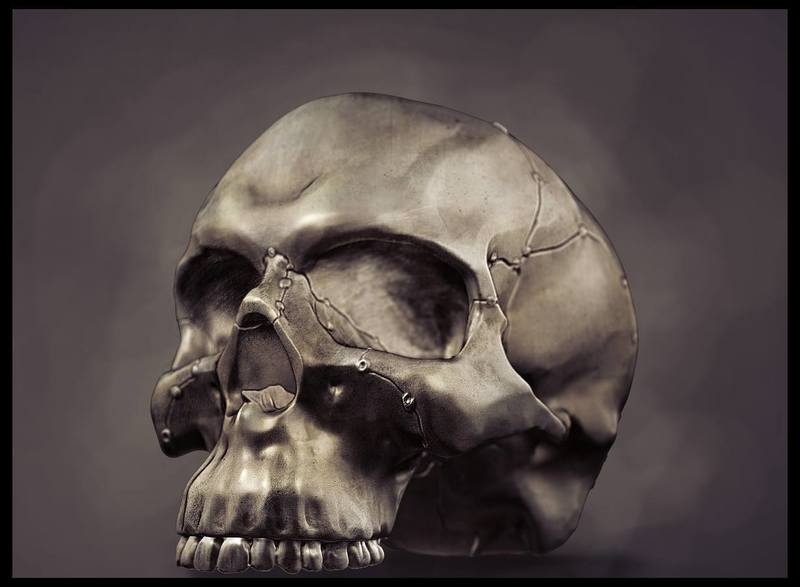 Realistic anatomic art Skull 3d printable - high quality details