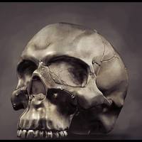 Small Realistic anatomic art Skull 3d printable - high quality details 3D Printing 62638