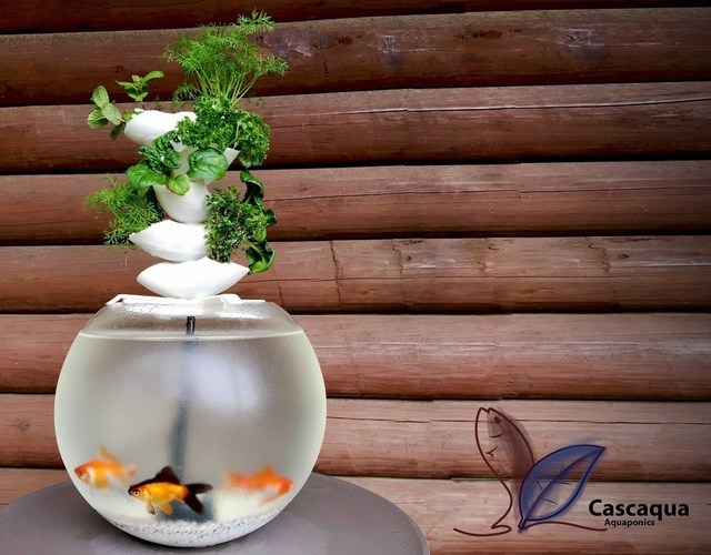 Cascaqua | Cascading Aquaponics System