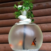 Cascaqua | Cascading Aquaponics System - Thumbnail 4