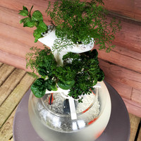 Cascaqua | Cascading Aquaponics System - Thumbnail 5
