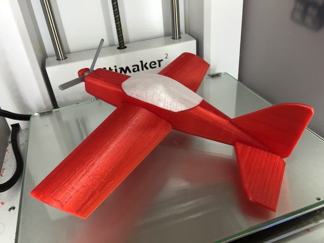 Toy airplane, different versions are planned 3D Print 62876
