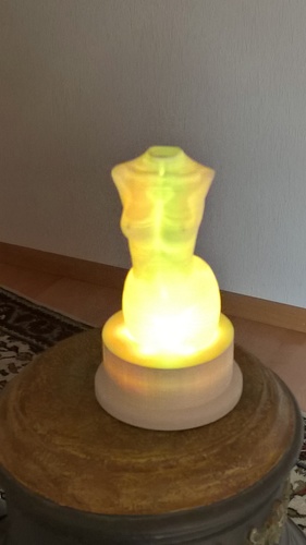 body-lamp 3D Print 62894