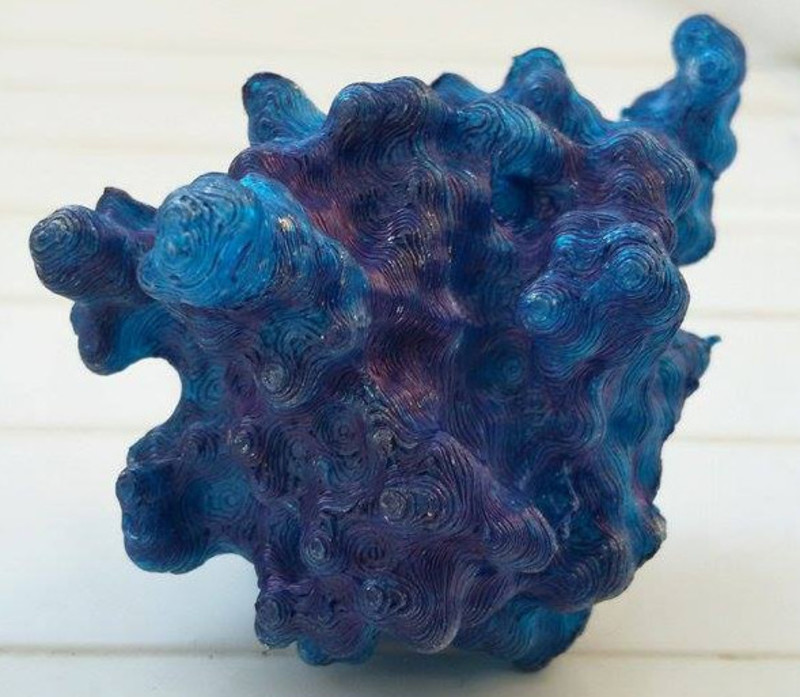 Papillomavirus Replication Initiation Complex