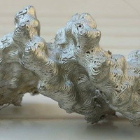 Papillomavirus Replication Initiation Complex - Thumbnail 2