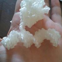 Papillomavirus Replication Initiation Complex - Thumbnail 3