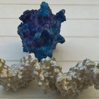 Papillomavirus Replication Initiation Complex - Thumbnail 4