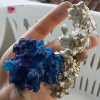 Papillomavirus Replication Initiation Complex - Thumbnail 5