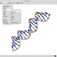 Papillomavirus Replication Initiation Complex - Thumbnail 7