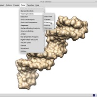 Papillomavirus Replication Initiation Complex - Thumbnail 8