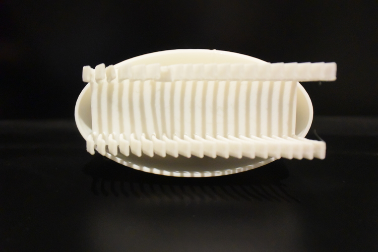 3D Printed BugBots 3D Print 63240